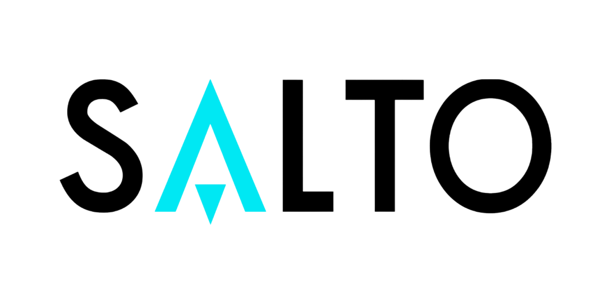 salto_logo_wordmark